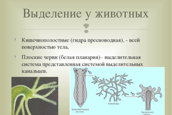 Кракен сайт магазин kraken clear com