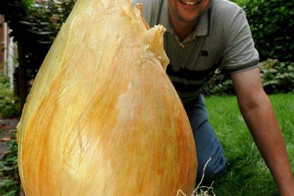Короткая ссылка на кракен